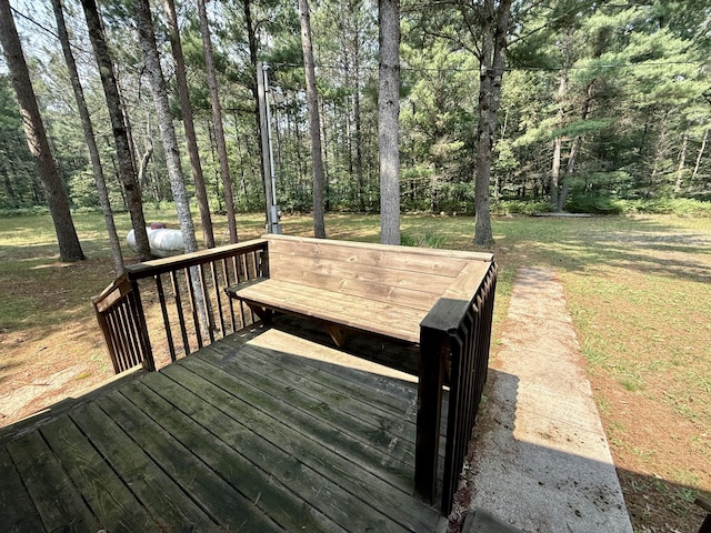 333 E 20th St, Baldwin, MI 49304 - photo 7