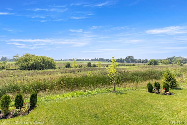 774 Risdon Trl S, Saline, MI 48176 - photo 53