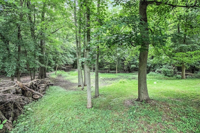201 Sherman St, Galien, MI 49113 - photo 3
