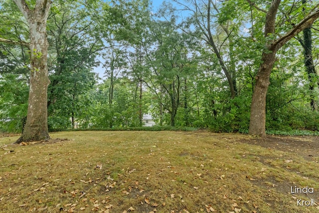 3527 Willamson Ave NE, Grand Rapids, MI 49525 - photo 20