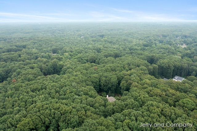 16941 Shore Oaks E Ln, Holland, MI 49424 - photo 69