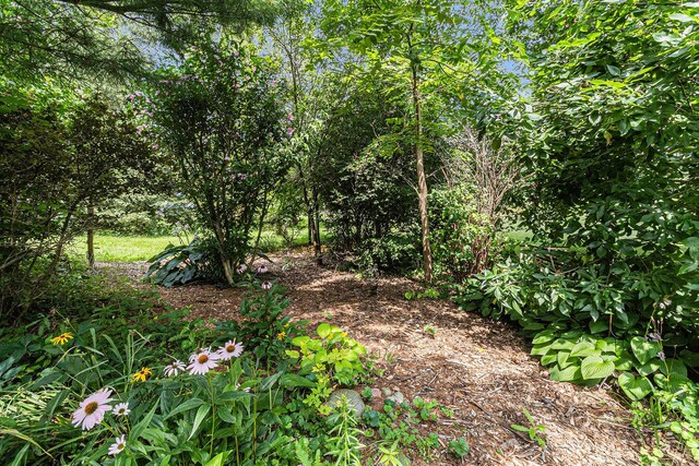 6620 Memory Ln, Ann Arbor, MI 48105 - photo 29