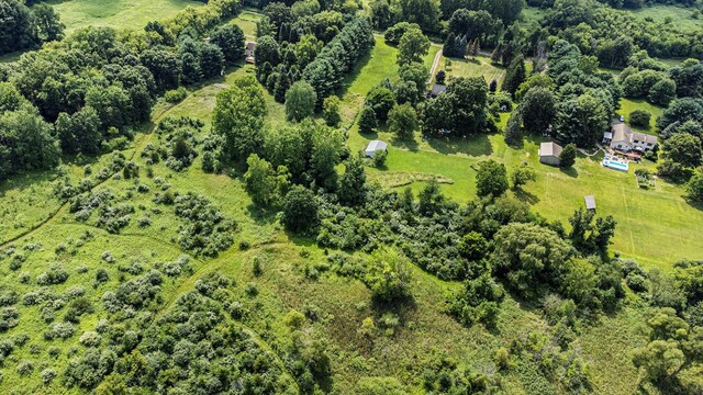 6620 Memory Ln, Ann Arbor, MI 48105 - photo 47