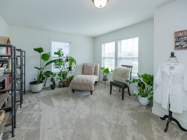 5820 Copperleaf Trl, Portage, MI 49024 - photo 20
