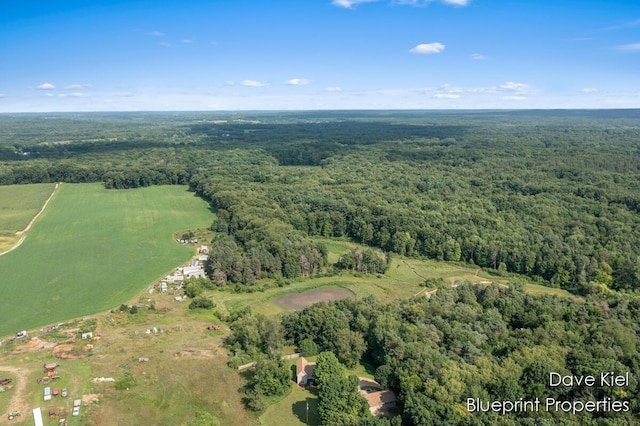 2195 Bender Rd, Middleville, MI 49333 - photo 48