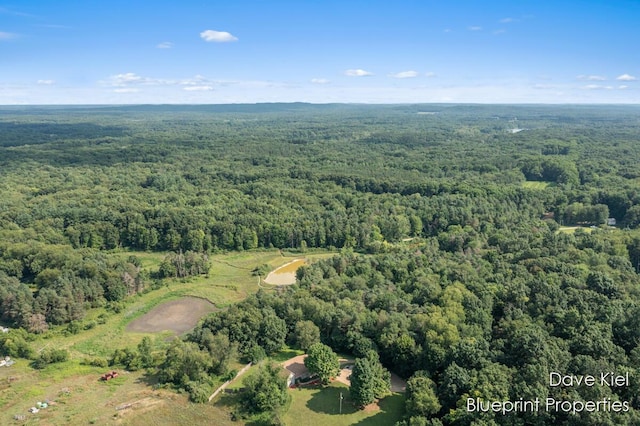 2195 Bender Rd, Middleville, MI 49333 - photo 49