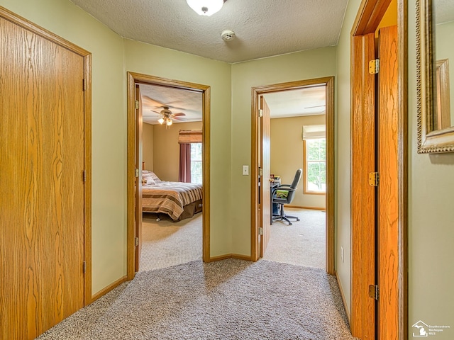 190 Sidney St, Dundee, MI 48131 - photo 10