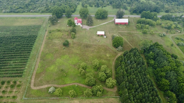 22679 52nd St, Grand Junction, MI 49056 - photo 49