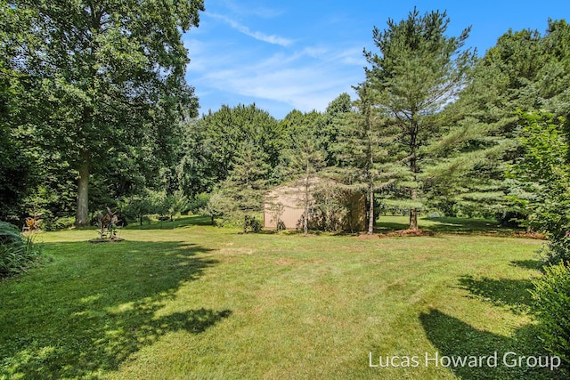 58280 Kirk Lake Rd, Vandalia, MI 49095 - photo 29