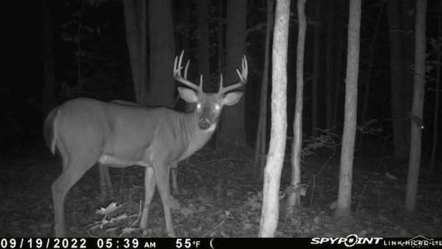 VL1465 Allen Rd, Elmira, MI 49730 - photo 15