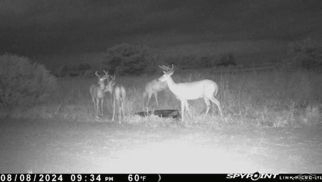 VL1465 Allen Rd, Elmira, MI 49730 - photo 16