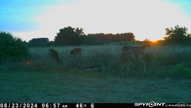 VL1465 Allen Rd, Elmira, MI 49730 - photo 17