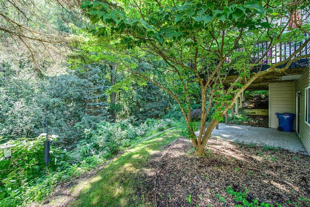 988 Windshire Ct SE, Grand Rapids, MI 49546 - photo 44