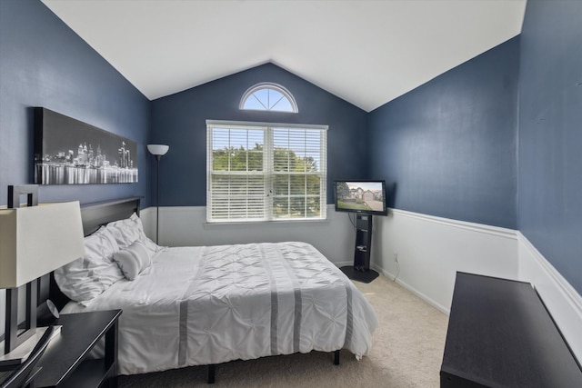 1128 Chestnut Ln, South Lyon, MI 48178 - photo 29