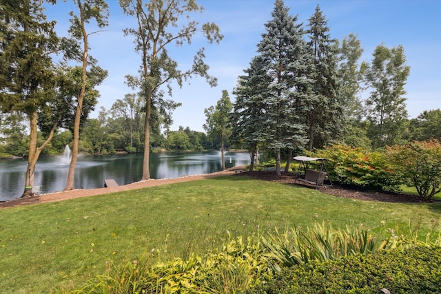 1128 Chestnut Ln, South Lyon, MI 48178 - photo 56