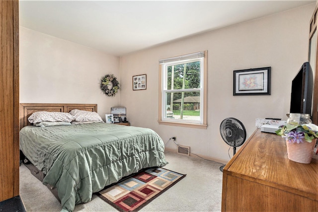 77 Maple Ln, Coldwater, MI 49036 - photo 12