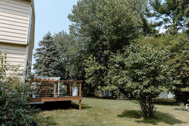786 Adaway Ave SE, Ada, MI 49301 - photo 28