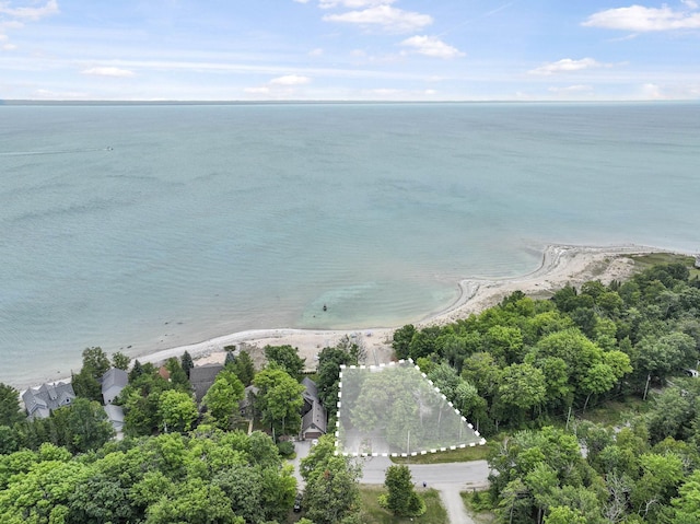 13890 N Forest Bch, Northport, MI 49670 - photo 6