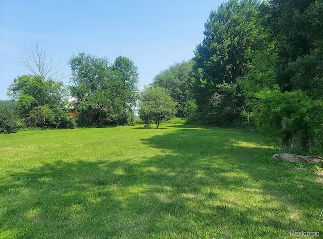 11775 Birch Run Rd, Birch Run, MI 48415 - photo 18