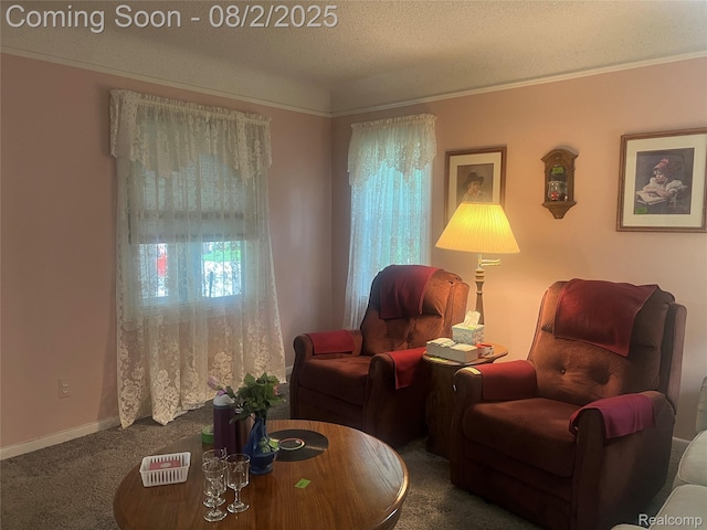 4403 Biddle St, Wayne, MI 48184 - photo 19