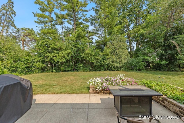 1832 Observatory Ave SE, Grand Rapids, MI 49546 - photo 18