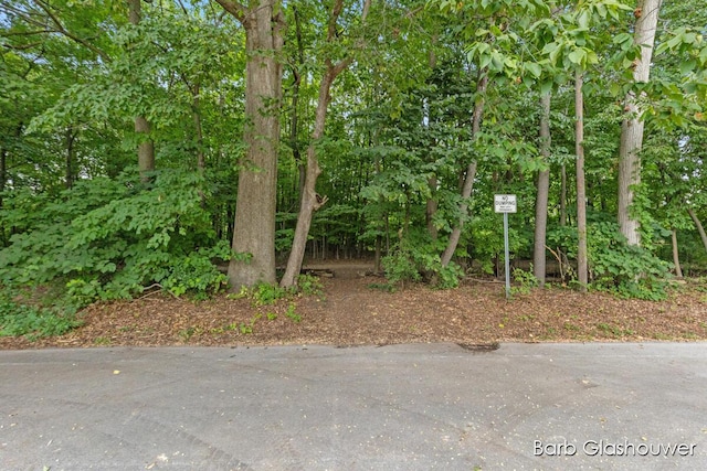 1832 Observatory Ave SE, Grand Rapids, MI 49546 - photo 20