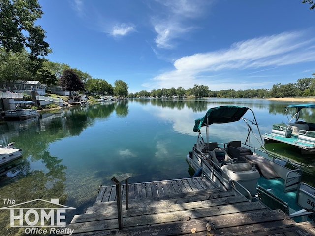 10001 E Goodall Rd, Durand, MI 48429 - photo 3