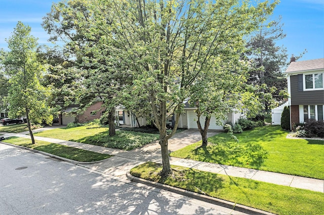 2050 Delaware Dr, Ann Arbor, MI 48103 - photo 42