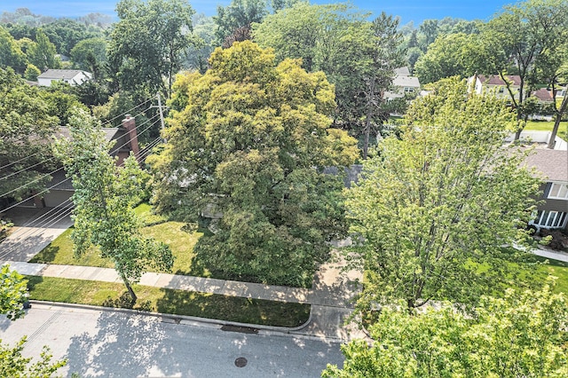 2050 Delaware Dr, Ann Arbor, MI 48103 - photo 43