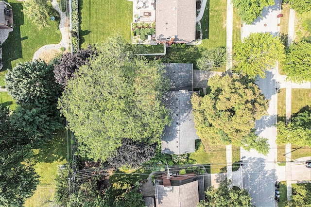 2050 Delaware Dr, Ann Arbor, MI 48103 - photo 51