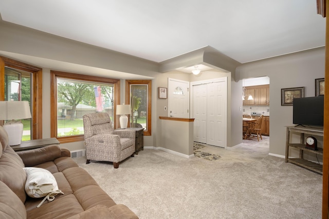 53333 Aulgur Dr, Michigan, MI 48316 - photo 11