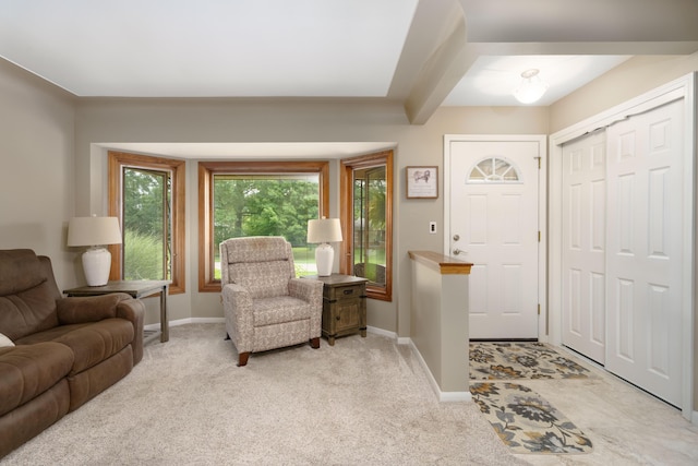 53333 Aulgur Dr, Michigan, MI 48316 - photo 12