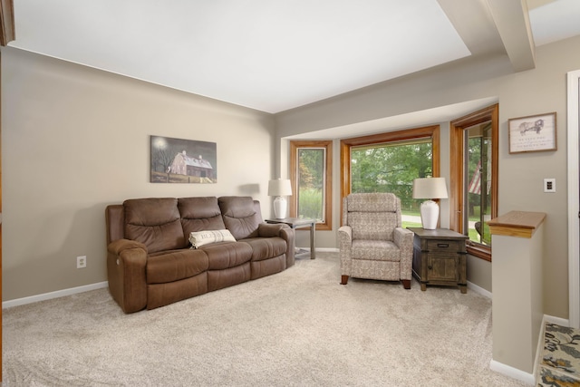 53333 Aulgur Dr, Michigan, MI 48316 - photo 13