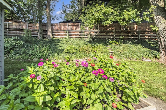900 Barton Dr, Ann Arbor, MI 48105 - photo 38