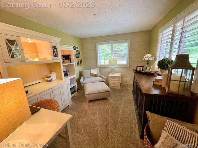 48104 Colony Farm Cir, Plymouth, MI 48170 - photo 11