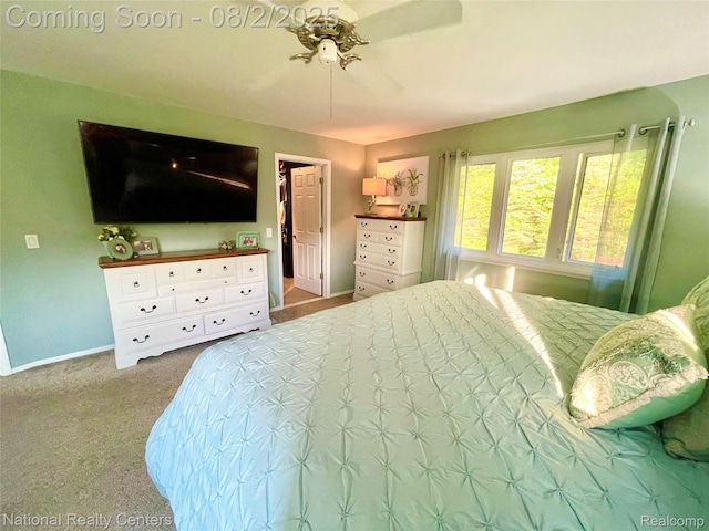 48104 Colony Farm Cir, Plymouth, MI 48170 - photo 48