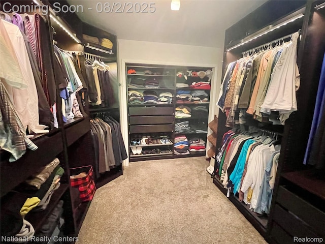 48104 Colony Farm Cir, Plymouth, MI 48170 - photo 57