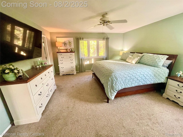 48104 Colony Farm Cir, Plymouth, MI 48170 - photo 47