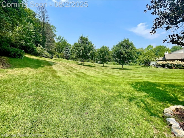 48104 Colony Farm Cir, Plymouth, MI 48170 - photo 63