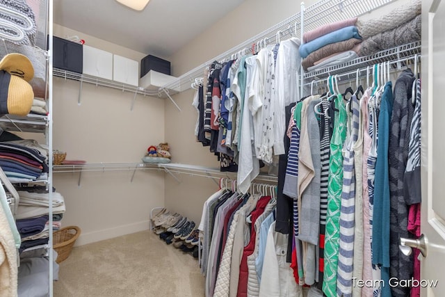 7949 Black Cherry Ct Unit 24, Caledonia, MI 49316 - photo 23