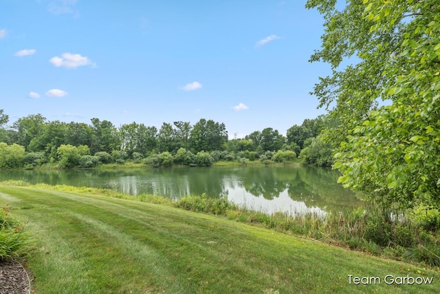 7949 Black Cherry Ct Unit 24, Caledonia, MI 49316 - photo 3