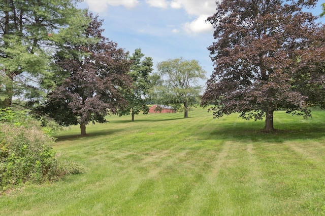 14430 E Austin Rd, Manchester, MI 48158 - photo 49