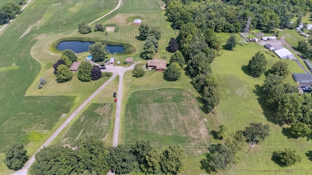 14430 E Austin Rd, Manchester, MI 48158 - photo 66