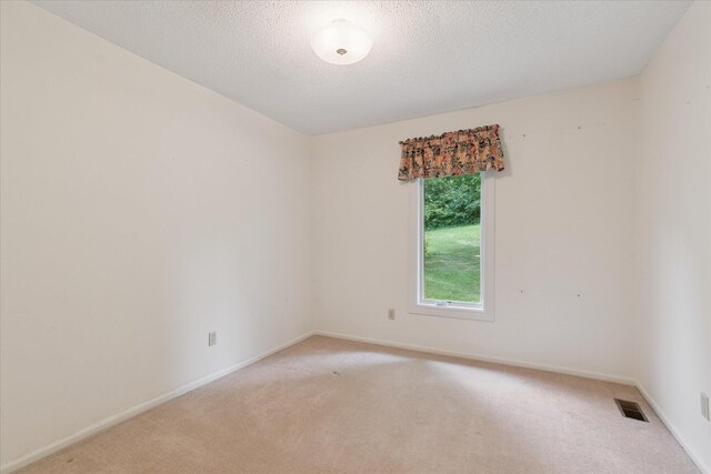 14430 E Austin Rd, Manchester, MI 48158 - photo 33