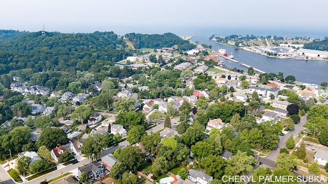 406 Lake Ave, Grand Haven, MI 49417 - photo 89