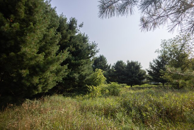 5696 E W Ave, Vicksburg, MI 49097 - photo 21