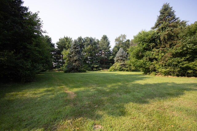 5696 E W Ave, Vicksburg, MI 49097 - photo 29