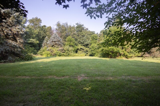 5696 E W Ave, Vicksburg, MI 49097 - photo 30