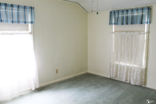 610 Borgess Ave, Monroe, MI 48162 - photo 26