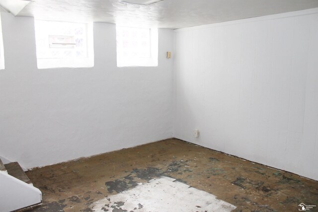 610 Borgess Ave, Monroe, MI 48162 - photo 36